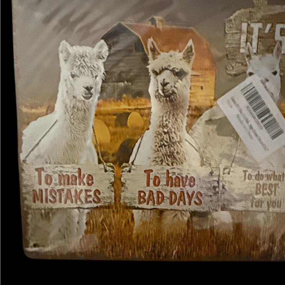 NEW Inspirational 8X 12 “It’s Okay” Llama Wall Art